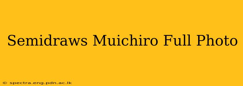 Semidraws Muichiro Full Photo