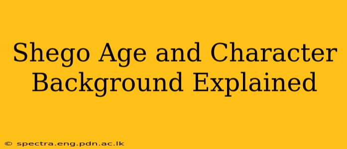 Shego Age and Character Background Explained