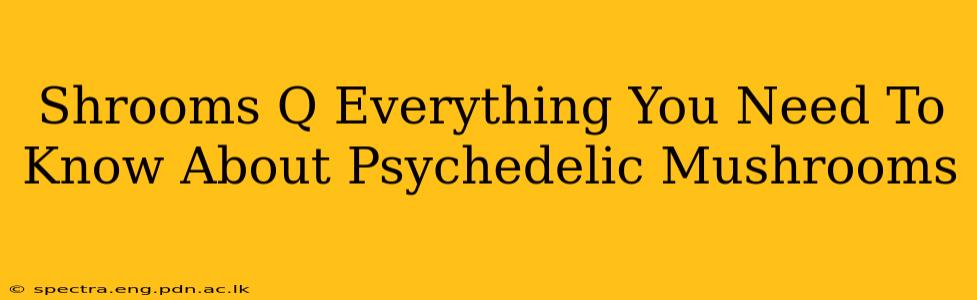 Shrooms Q Everything You Need To Know About Psychedelic Mushrooms