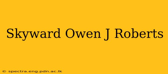 Skyward Owen J Roberts
