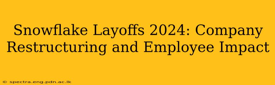 Snowflake Layoffs 2024: Company Restructuring and Employee Impact