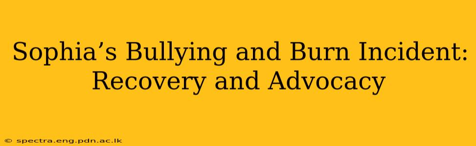 Sophia’s Bullying and Burn Incident: Recovery and Advocacy