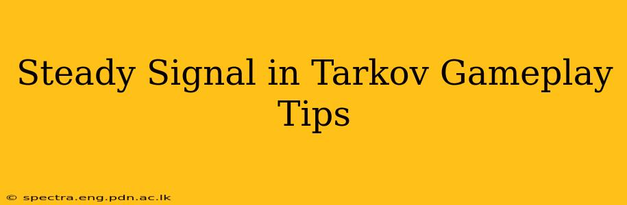 Steady Signal in Tarkov Gameplay Tips