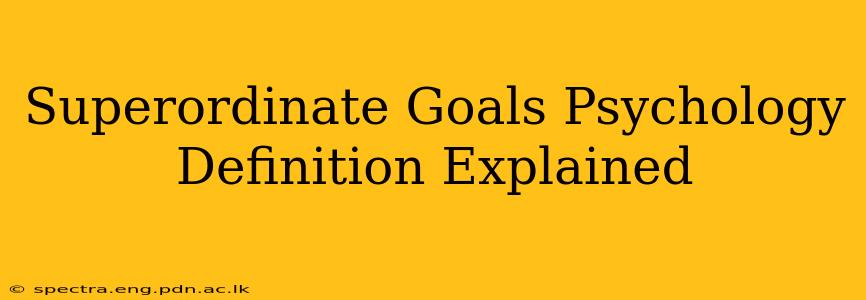 Superordinate Goals Psychology Definition Explained