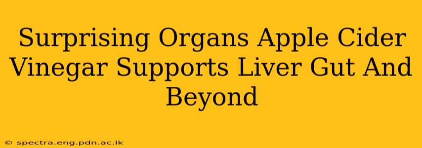 Surprising Organs Apple Cider Vinegar Supports Liver Gut And Beyond