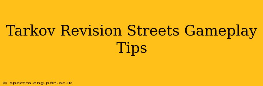 Tarkov Revision Streets Gameplay Tips