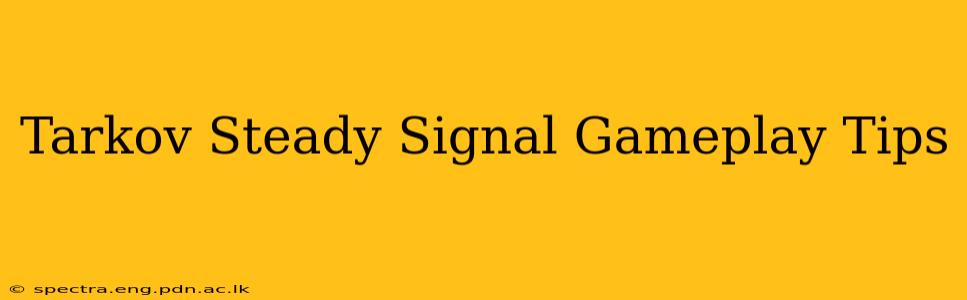 Tarkov Steady Signal Gameplay Tips