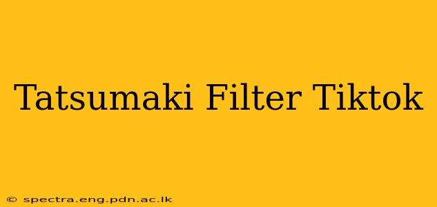 Tatsumaki Filter Tiktok