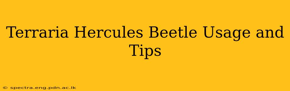 Terraria Hercules Beetle Usage and Tips