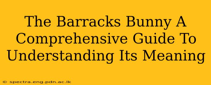 The Barracks Bunny A Comprehensive Guide To Understanding Its Meaning