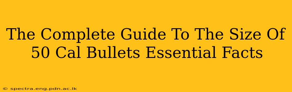 The Complete Guide To The Size Of 50 Cal Bullets Essential Facts