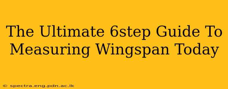 The Ultimate 6step Guide To Measuring Wingspan Today