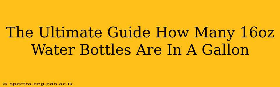 The Ultimate Guide How Many 16oz Water Bottles Are In A Gallon
