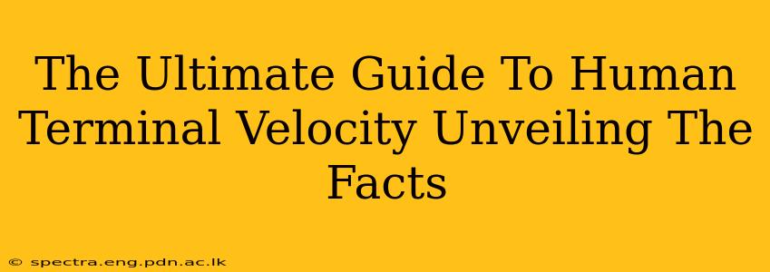 The Ultimate Guide To Human Terminal Velocity Unveiling The Facts