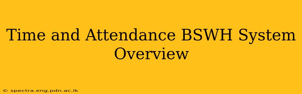 Time and Attendance BSWH System Overview