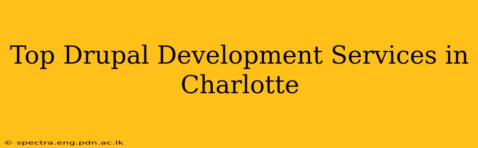 Top Drupal Development Services in Charlotte