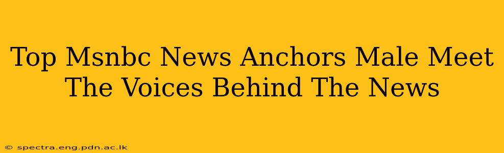 Top Msnbc News Anchors Male Meet The Voices Behind The News