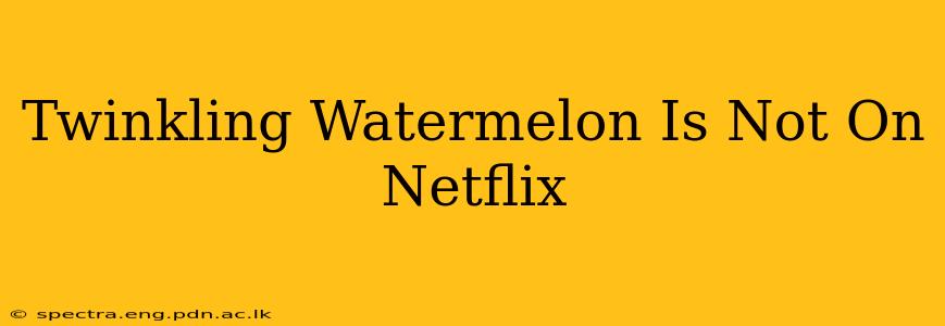 Twinkling Watermelon Is Not On Netflix