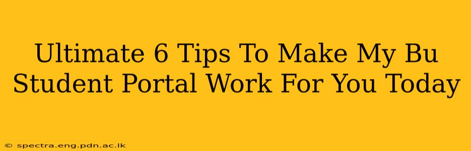 Ultimate 6 Tips To Make My Bu Student Portal Work For You Today