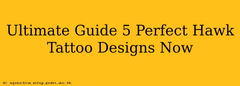Ultimate Guide 5 Perfect Hawk Tattoo Designs Now