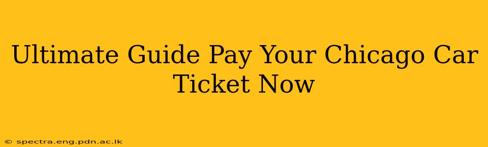 Ultimate Guide Pay Your Chicago Car Ticket Now