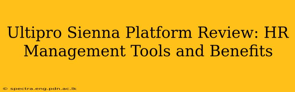 Ultipro Sienna Platform Review: HR Management Tools and Benefits