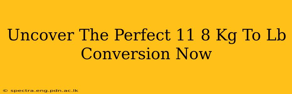 Uncover The Perfect 11 8 Kg To Lb Conversion Now