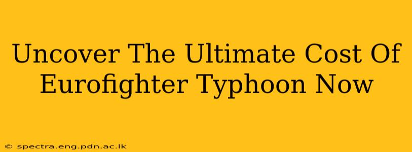 Uncover The Ultimate Cost Of Eurofighter Typhoon Now