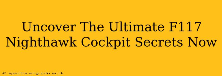 Uncover The Ultimate F117 Nighthawk Cockpit Secrets Now