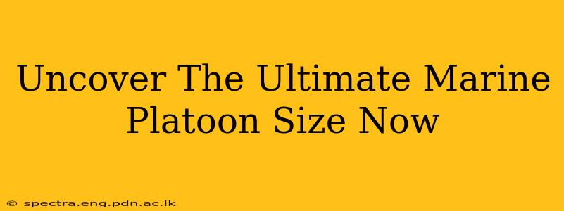 Uncover The Ultimate Marine Platoon Size Now