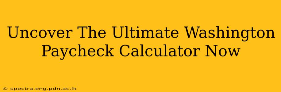 Uncover The Ultimate Washington Paycheck Calculator Now