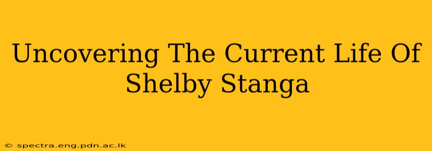 Uncovering The Current Life Of Shelby Stanga