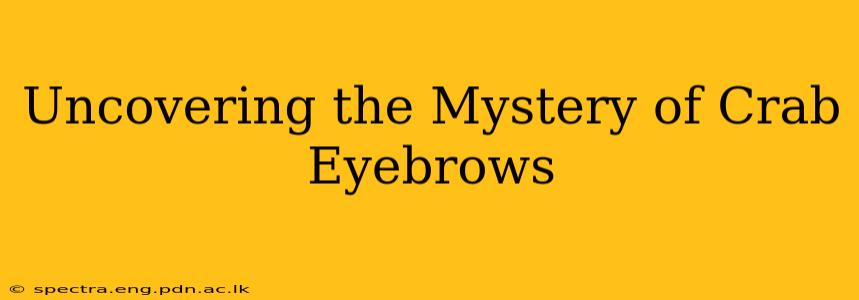 Uncovering the Mystery of Crab Eyebrows