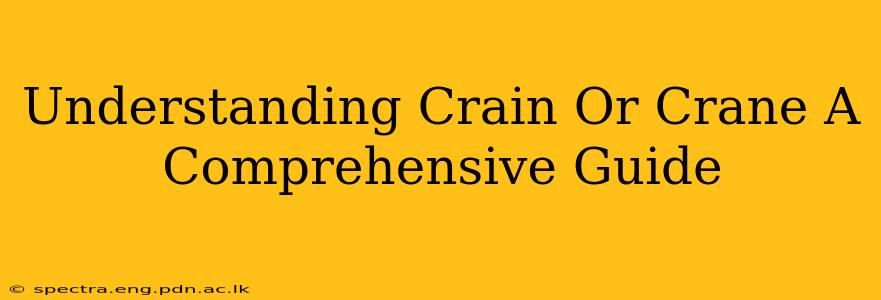 Understanding Crain Or Crane A Comprehensive Guide