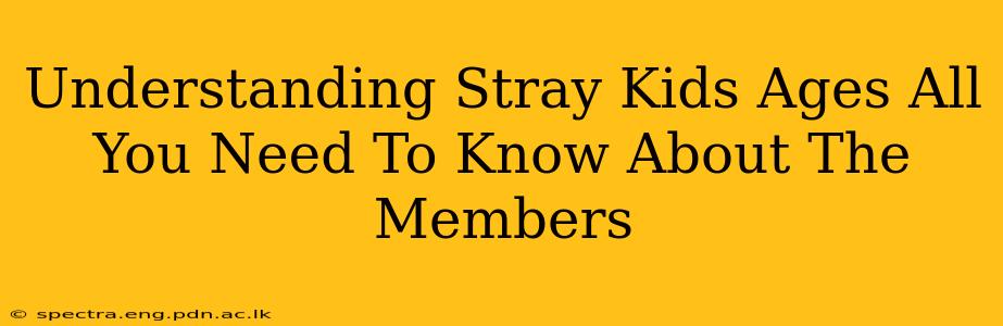 Understanding Stray Kids Ages All You Need To Know About The Members