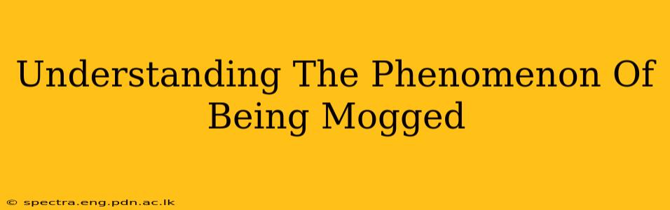 Understanding The Phenomenon Of Being Mogged