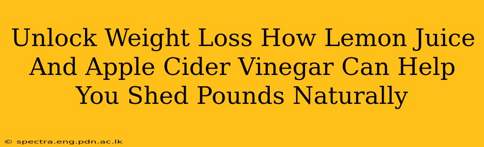 Unlock Weight Loss How Lemon Juice And Apple Cider Vinegar Can Help You Shed Pounds Naturally