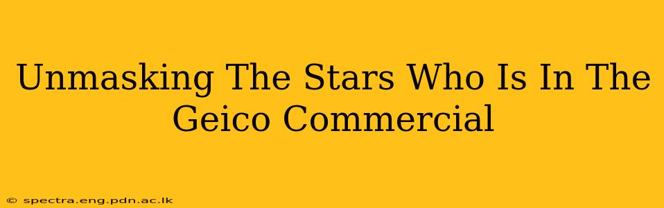 Unmasking The Stars Who Is In The Geico Commercial