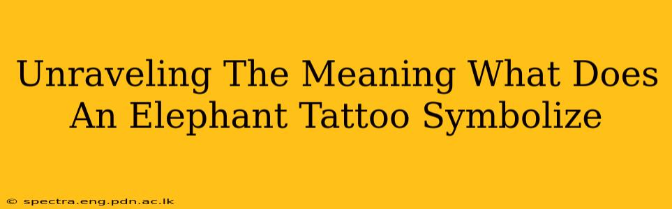 Unraveling The Meaning What Does An Elephant Tattoo Symbolize