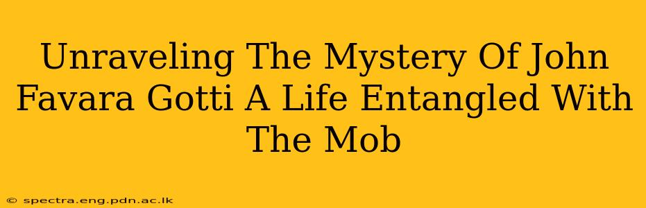 Unraveling The Mystery Of John Favara Gotti A Life Entangled With The Mob