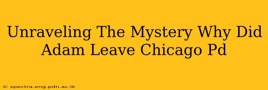 Unraveling The Mystery Why Did Adam Leave Chicago Pd