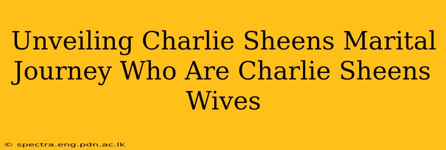 Unveiling Charlie Sheens Marital Journey Who Are Charlie Sheens Wives