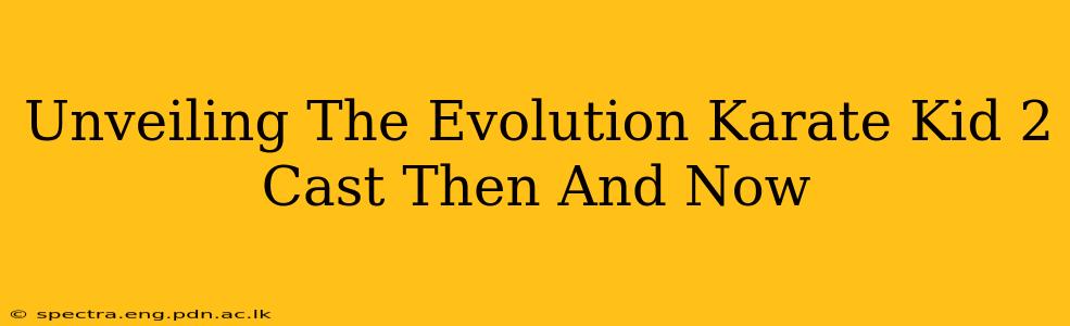 Unveiling The Evolution Karate Kid 2 Cast Then And Now