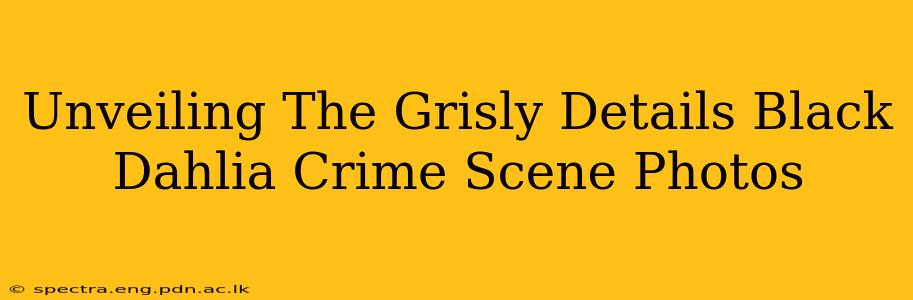 Unveiling The Grisly Details Black Dahlia Crime Scene Photos