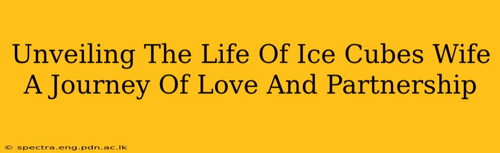 Unveiling The Life Of Ice Cubes Wife A Journey Of Love And Partnership