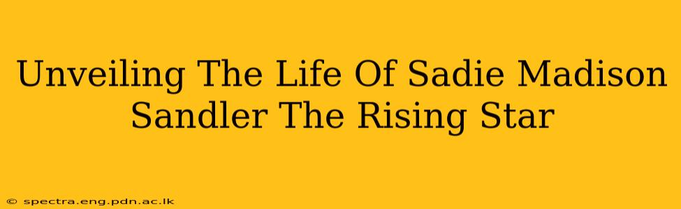 Unveiling The Life Of Sadie Madison Sandler The Rising Star
