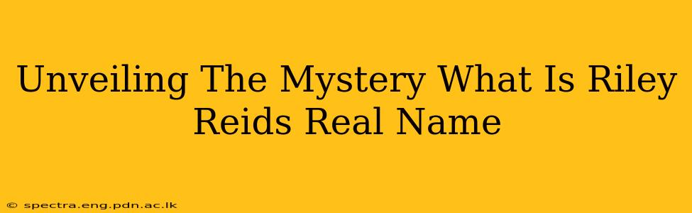 Unveiling The Mystery What Is Riley Reids Real Name