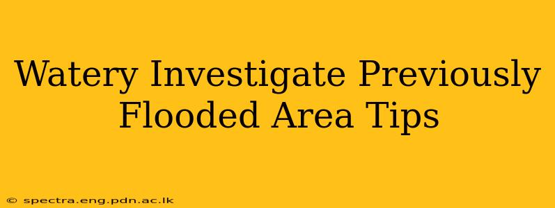 Watery Investigate Previously Flooded Area Tips