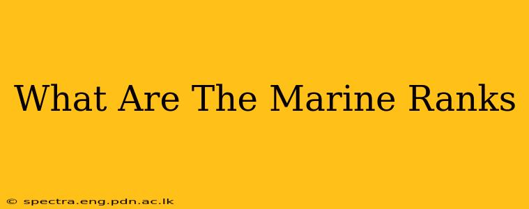 What Are The Marine Ranks