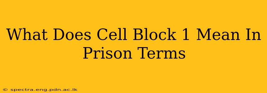 What Does Cell Block 1 Mean In Prison Terms